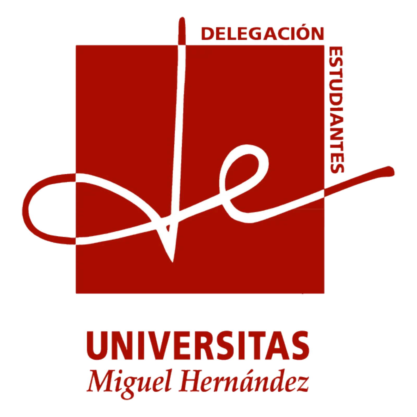 Delegación de estudiantes UMH